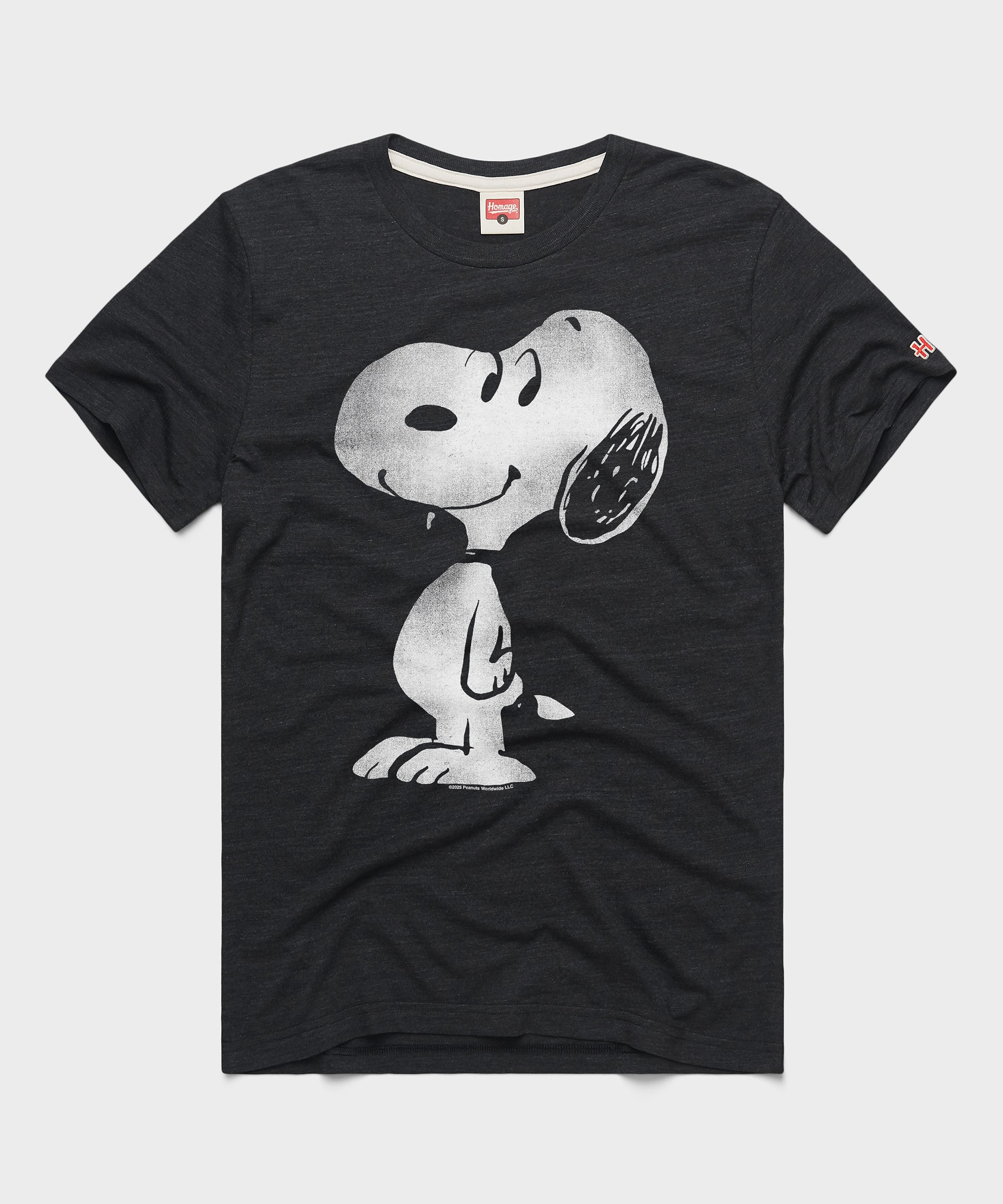 Peanuts Snoopy Character