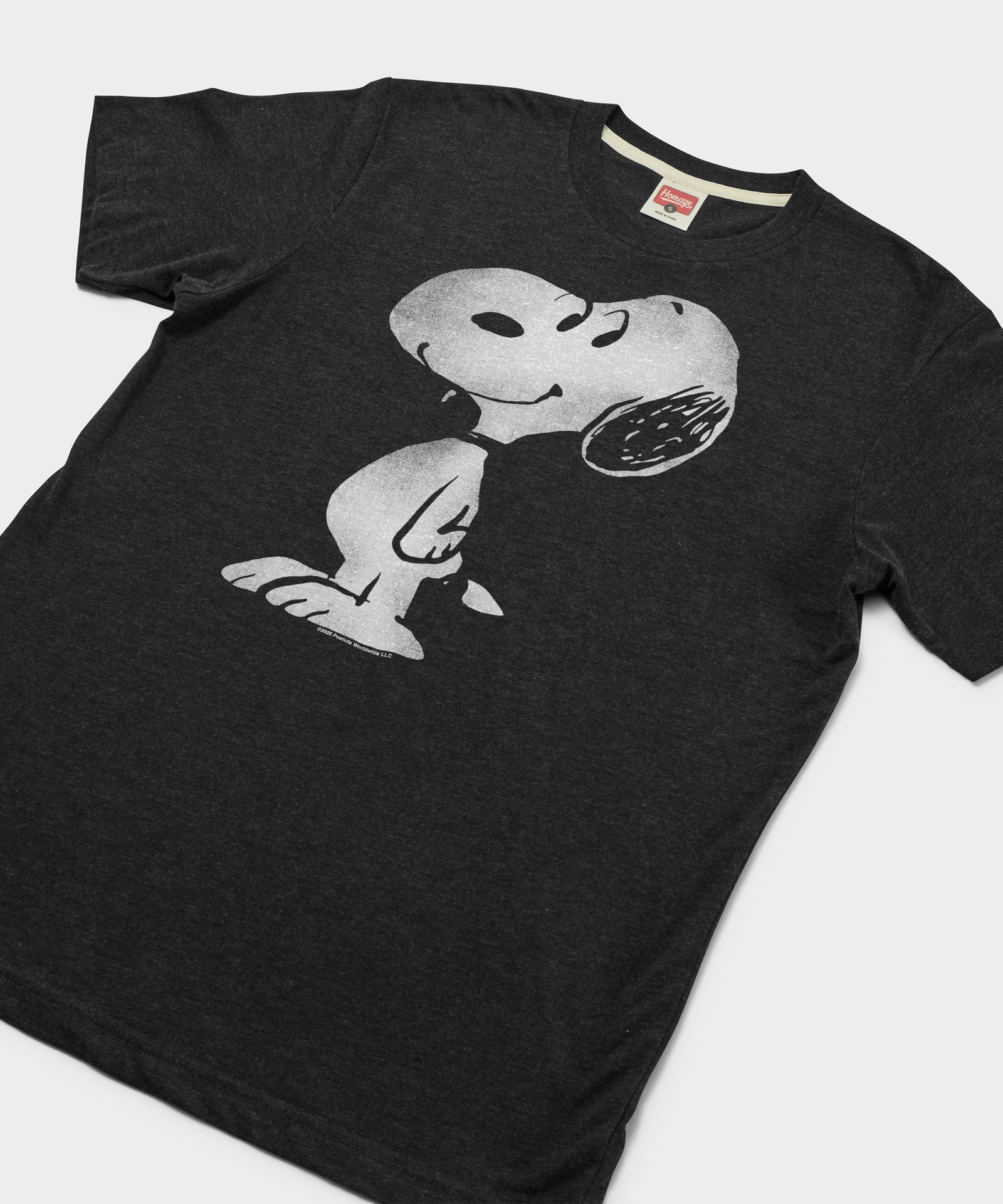 Peanuts Snoopy Character
