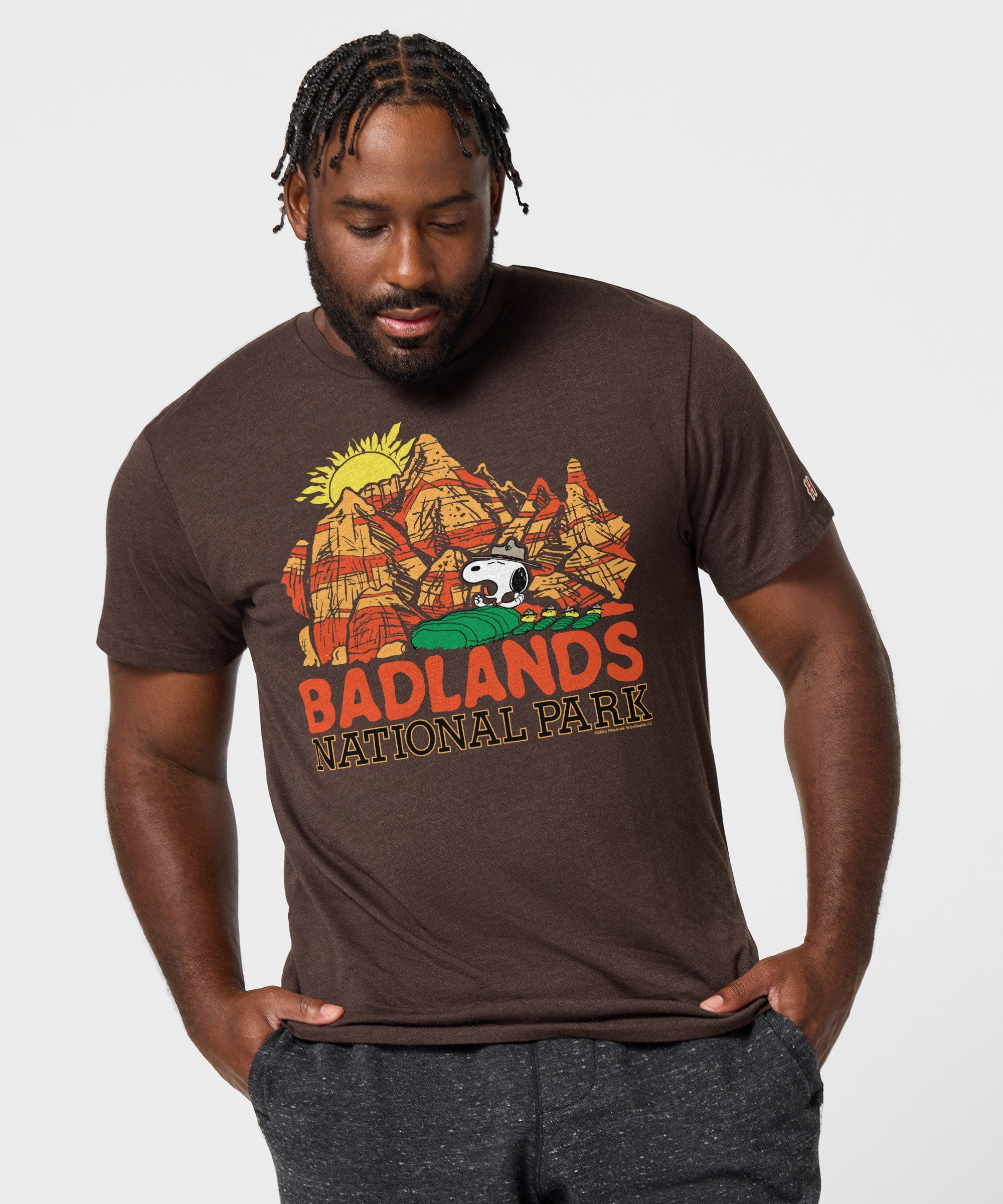 Peanuts Snoopy X Badlands National Park