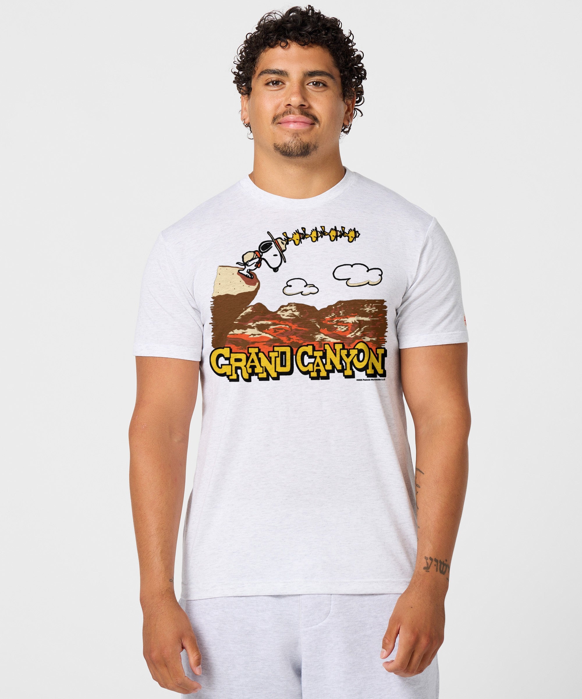 Peanuts Snoopy X Grand Canyon National Park