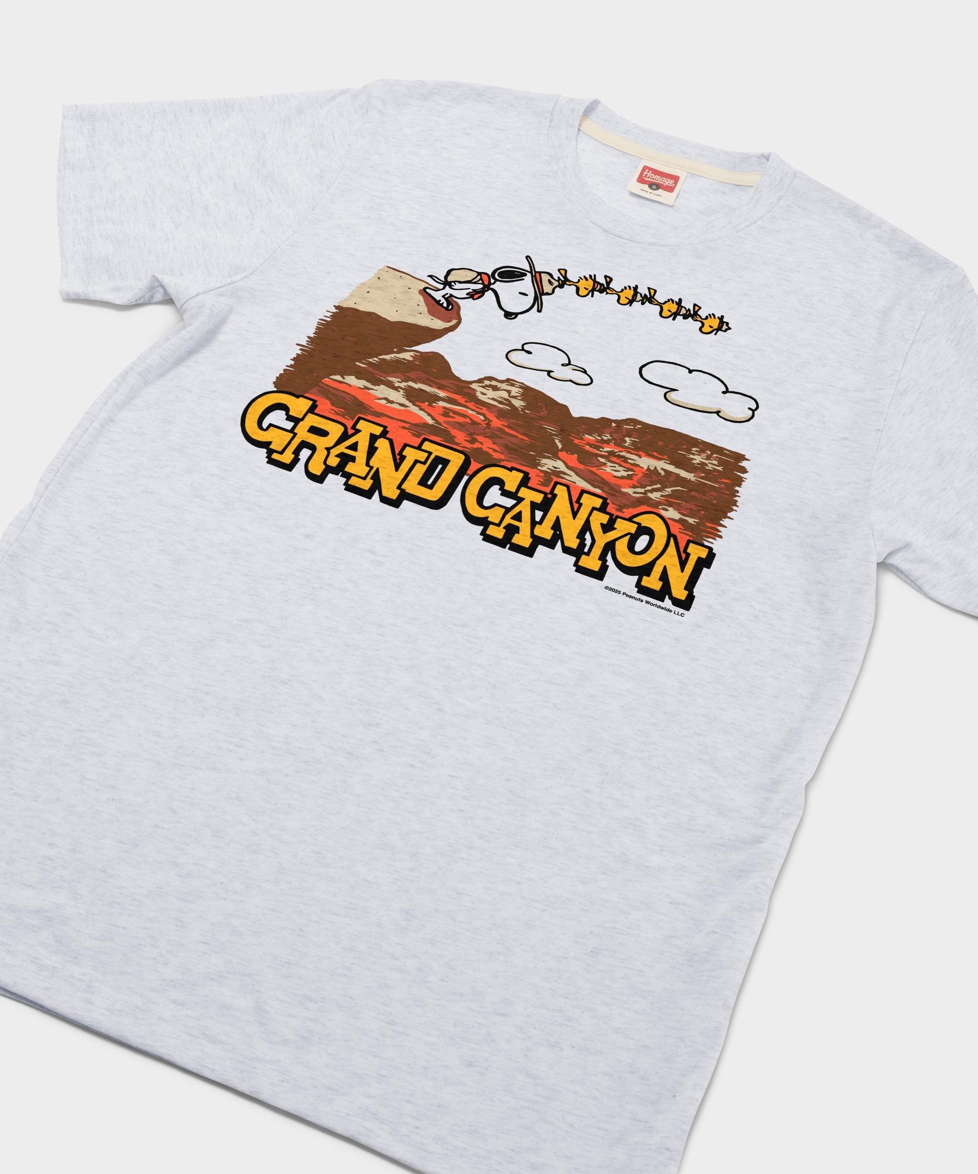 Peanuts Snoopy X Grand Canyon National Park