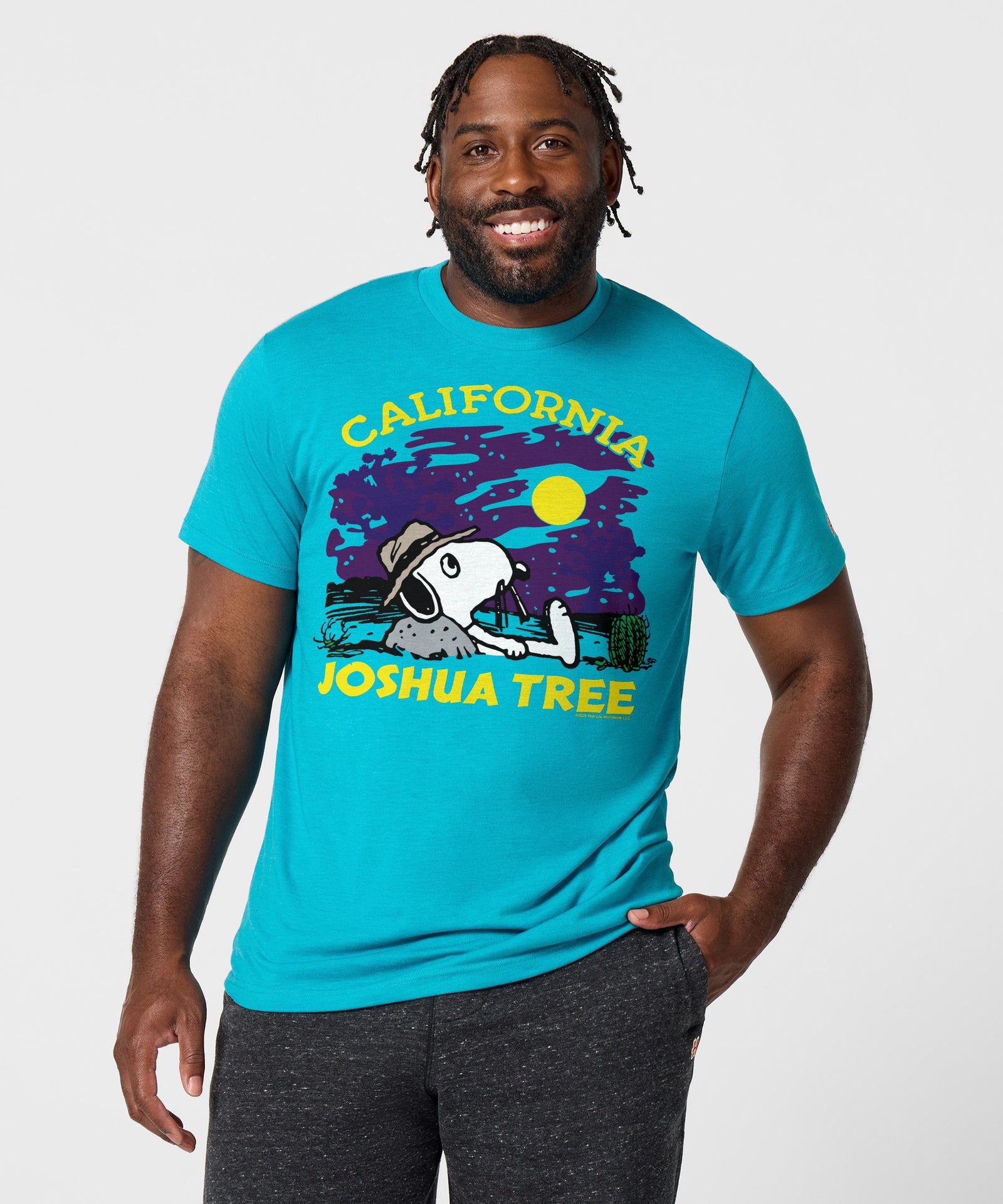 Peanuts Snoopy X Joshua Tree National Park