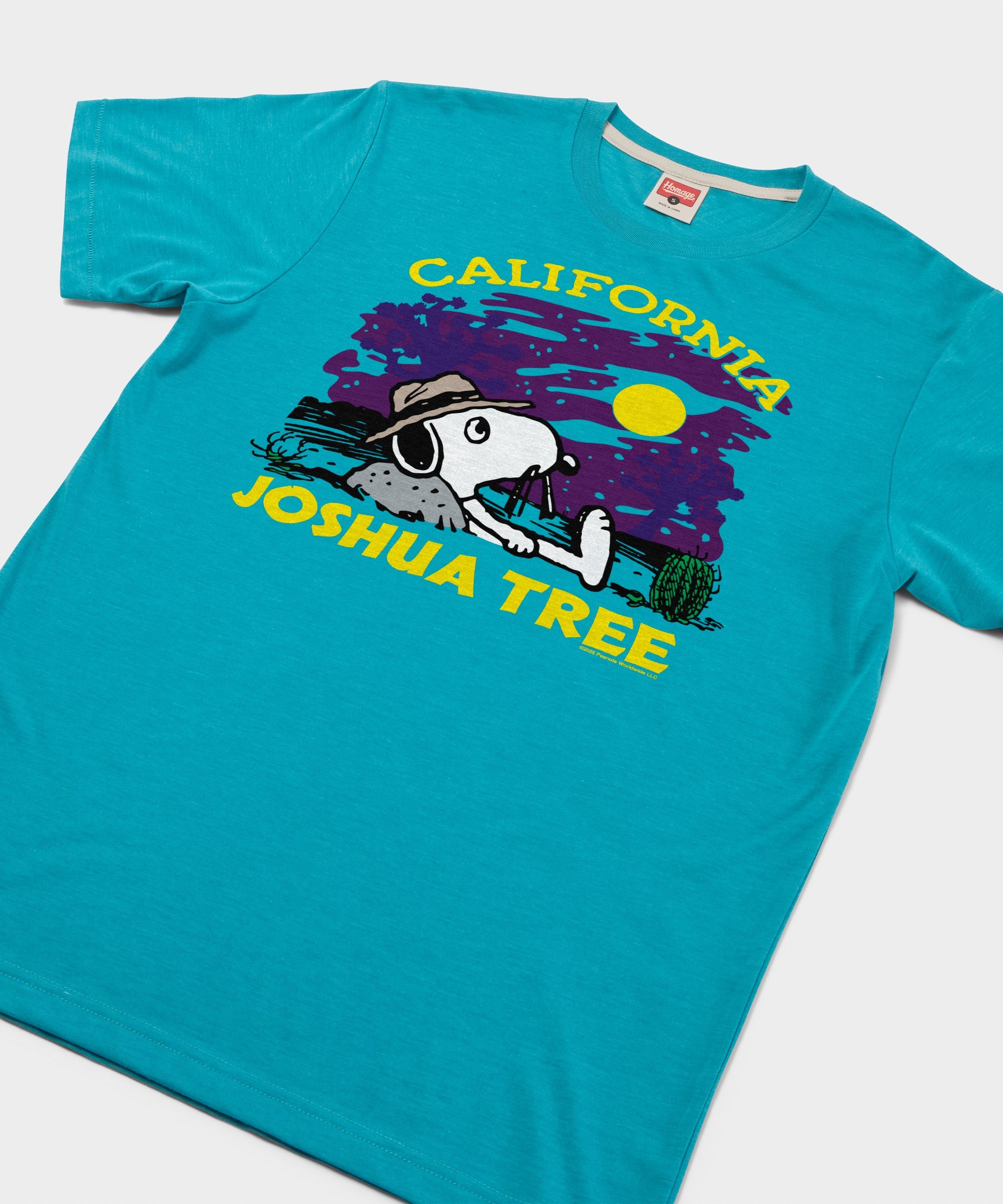 Peanuts Snoopy X Joshua Tree National Park