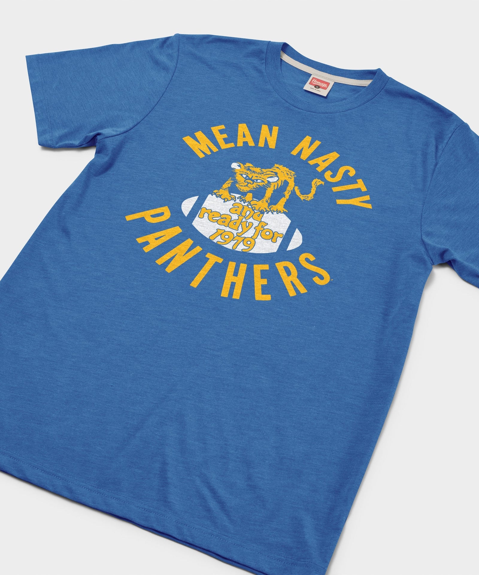 Pittsburgh Panthers Mean Nasty Panthers