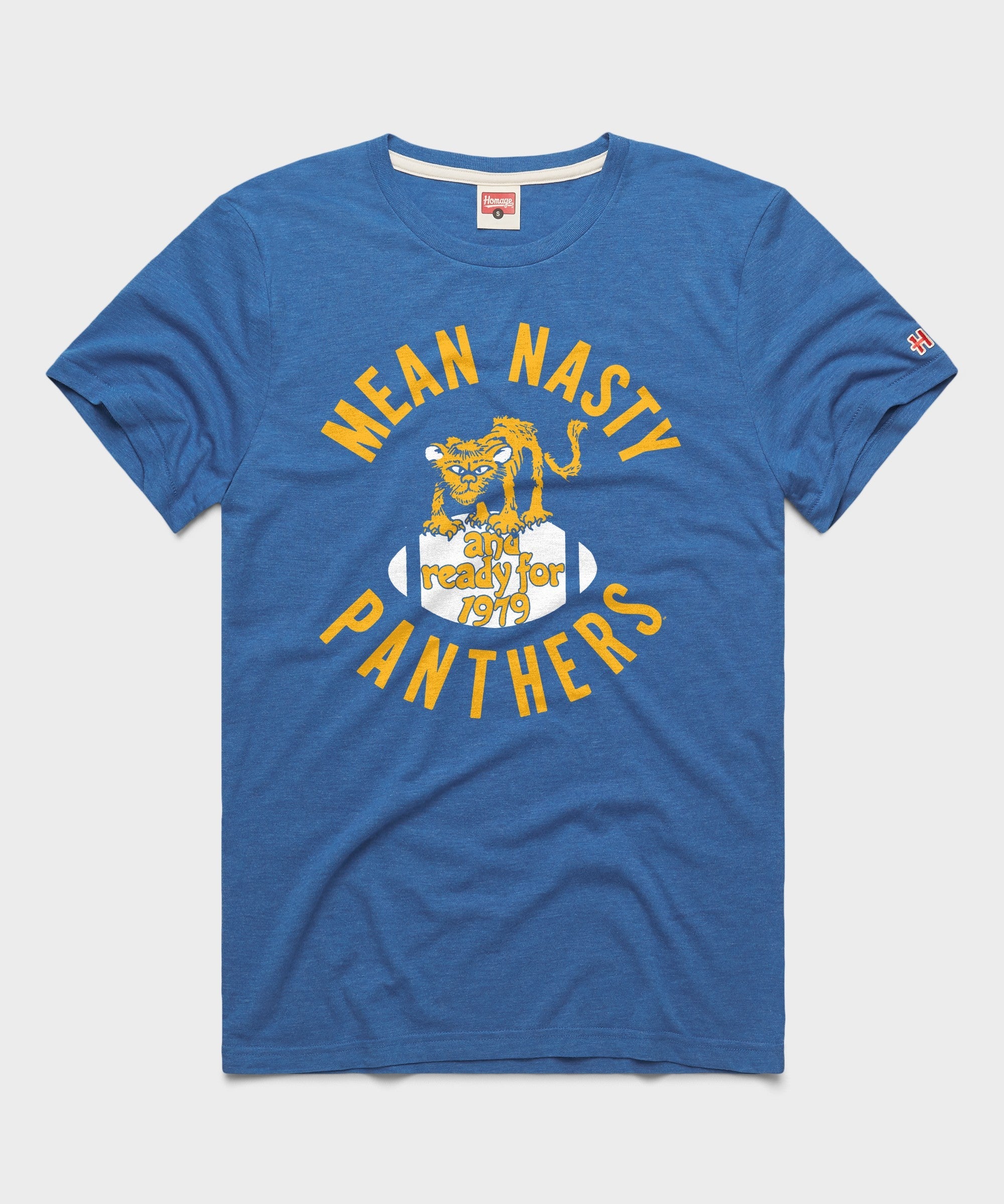 Pittsburgh Panthers Mean Nasty Panthers