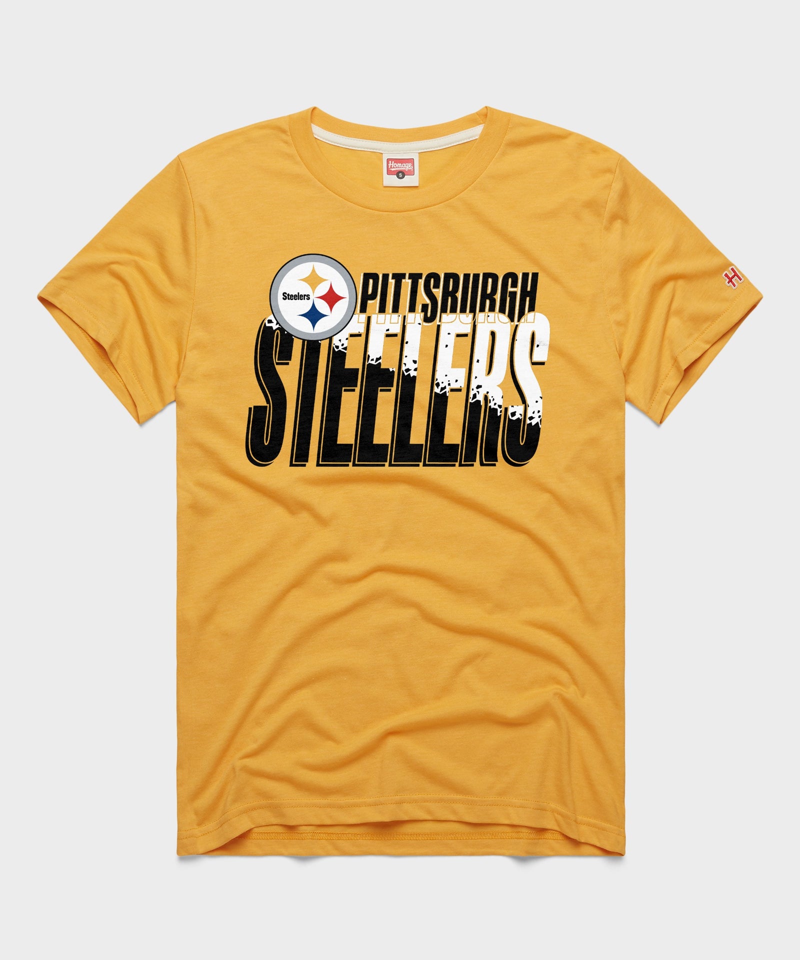 Pittsburgh Steelers Color Splash