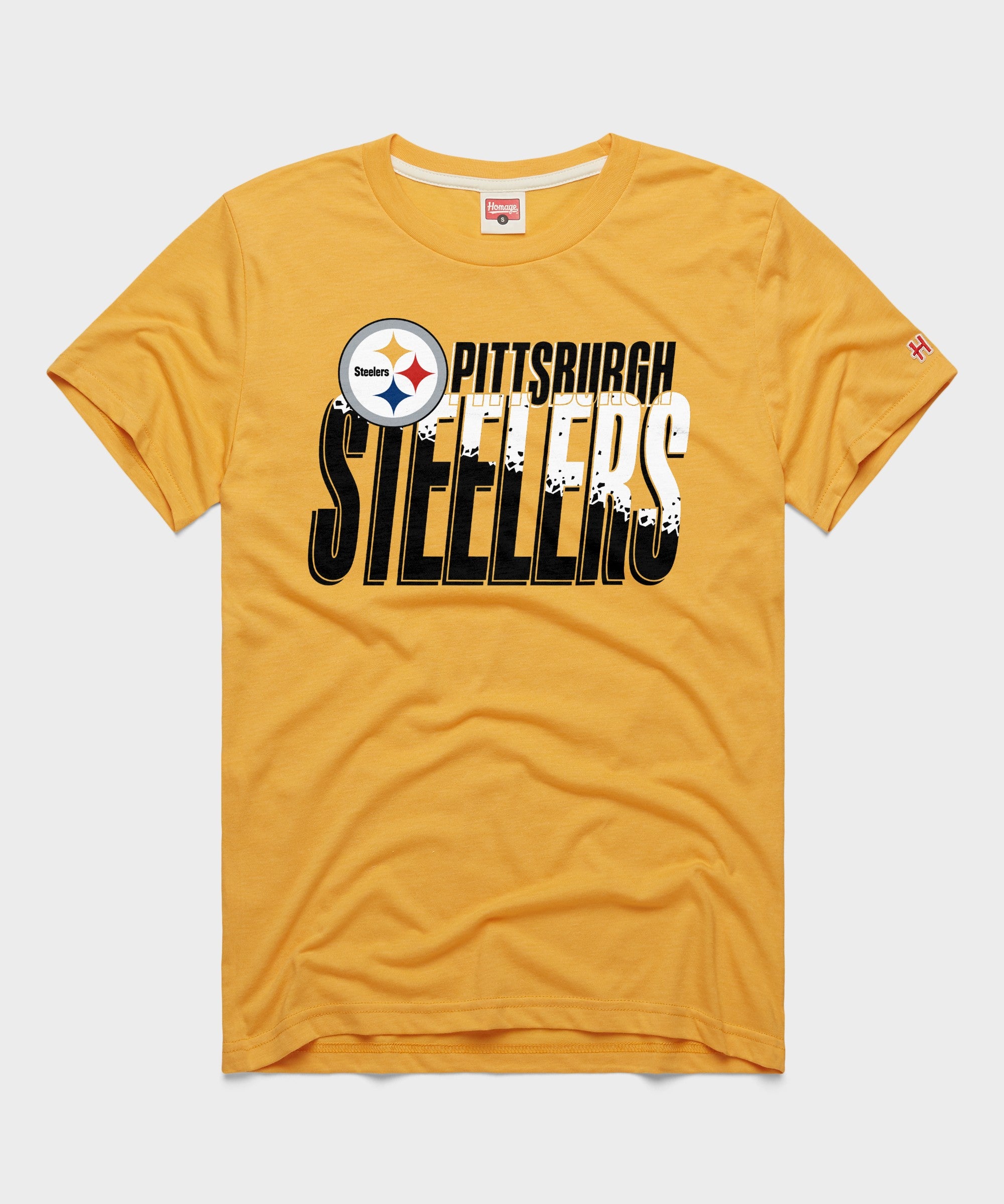 Pittsburgh Steelers Color Splash