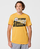 Pittsburgh Steelers Color Splash