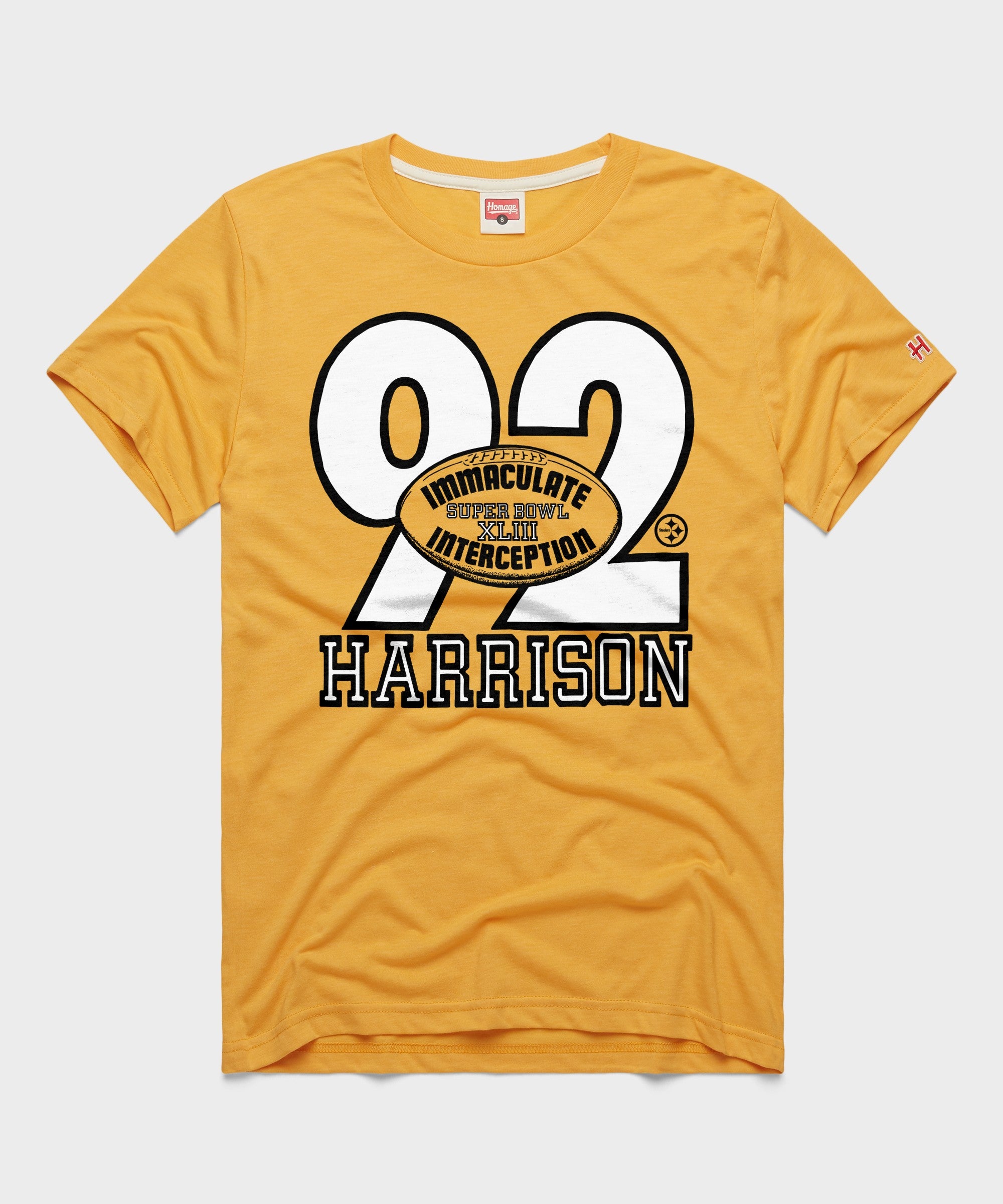 Pittsburgh Steelers Immaculate Interception Harrison
