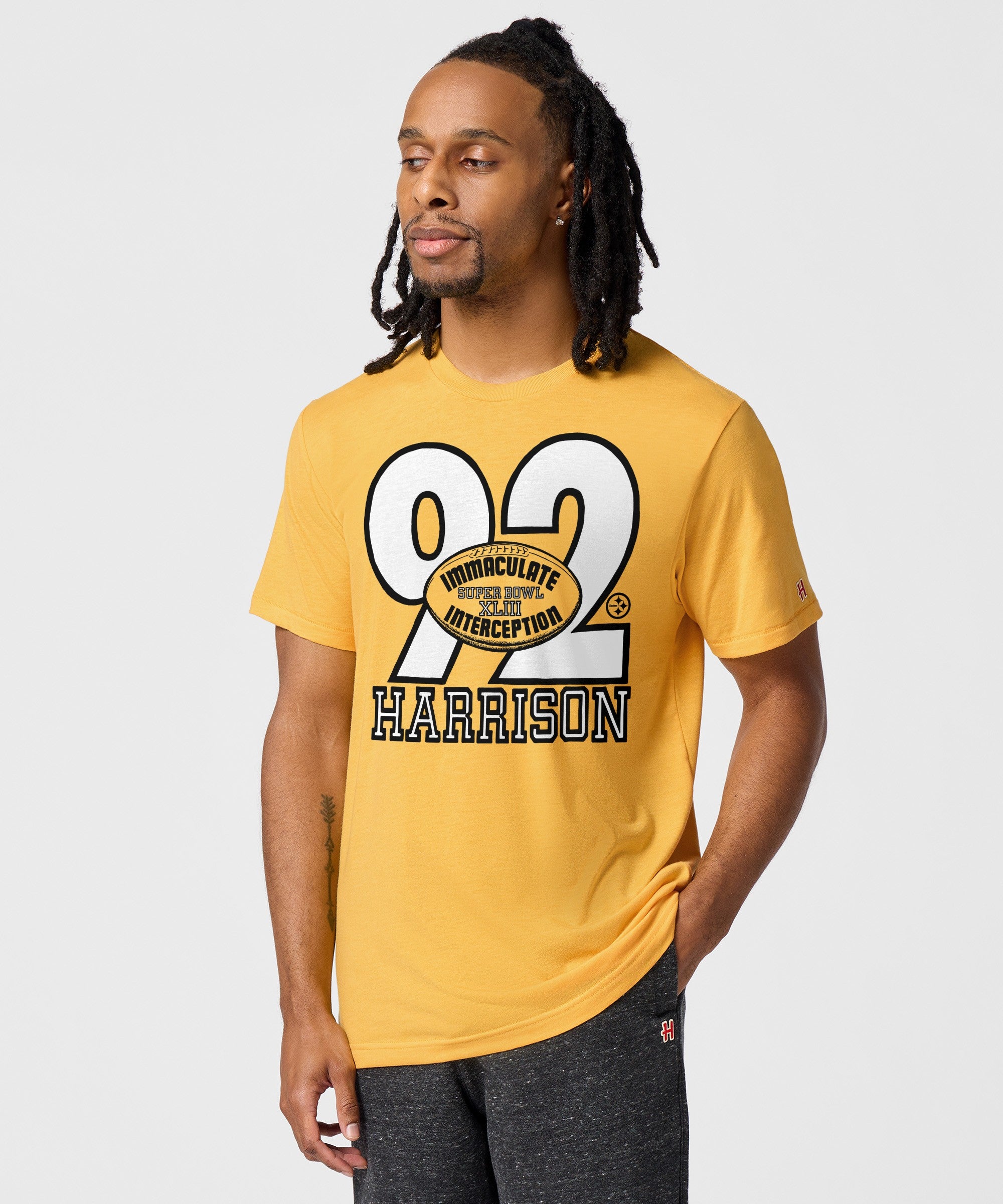 Pittsburgh Steelers Immaculate Interception Harrison