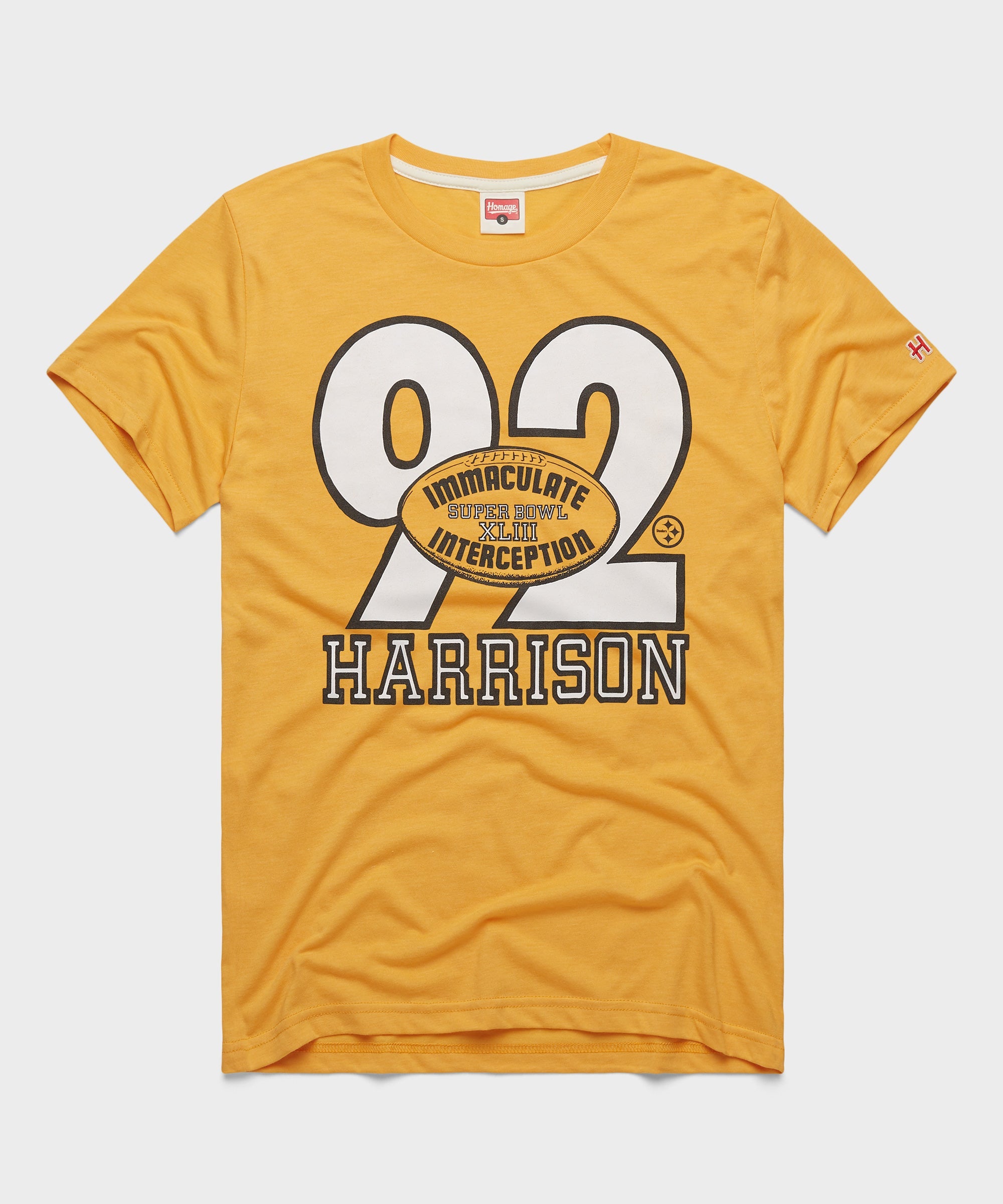 Pittsburgh Steelers Immaculate Interception Harrison