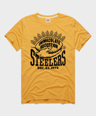 Pittsburgh Steelers Immaculate Reception