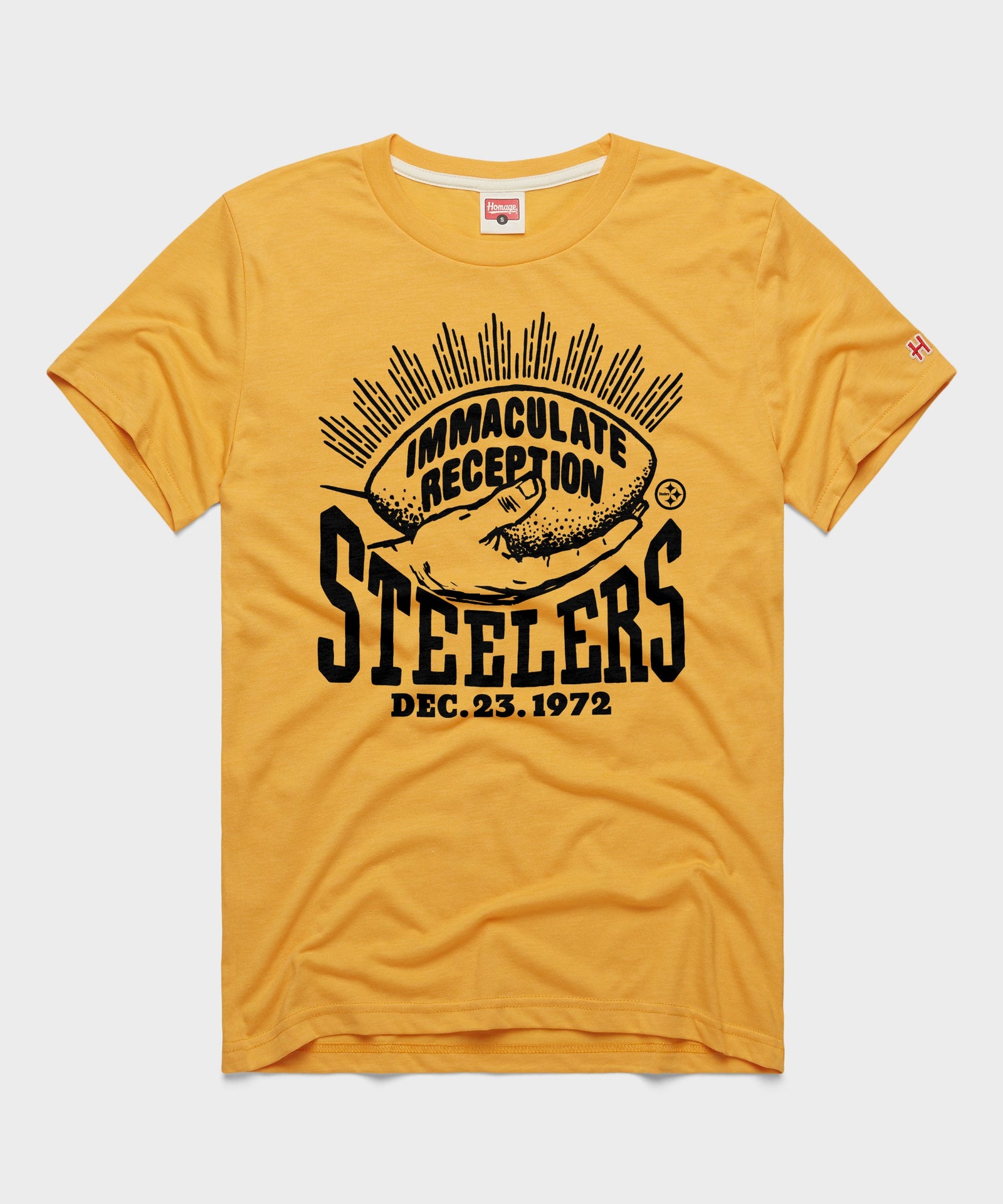 Pittsburgh Steelers Immaculate Reception