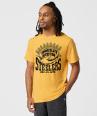 Pittsburgh Steelers Immaculate Reception