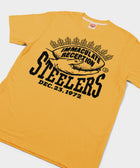 Pittsburgh Steelers Immaculate Reception