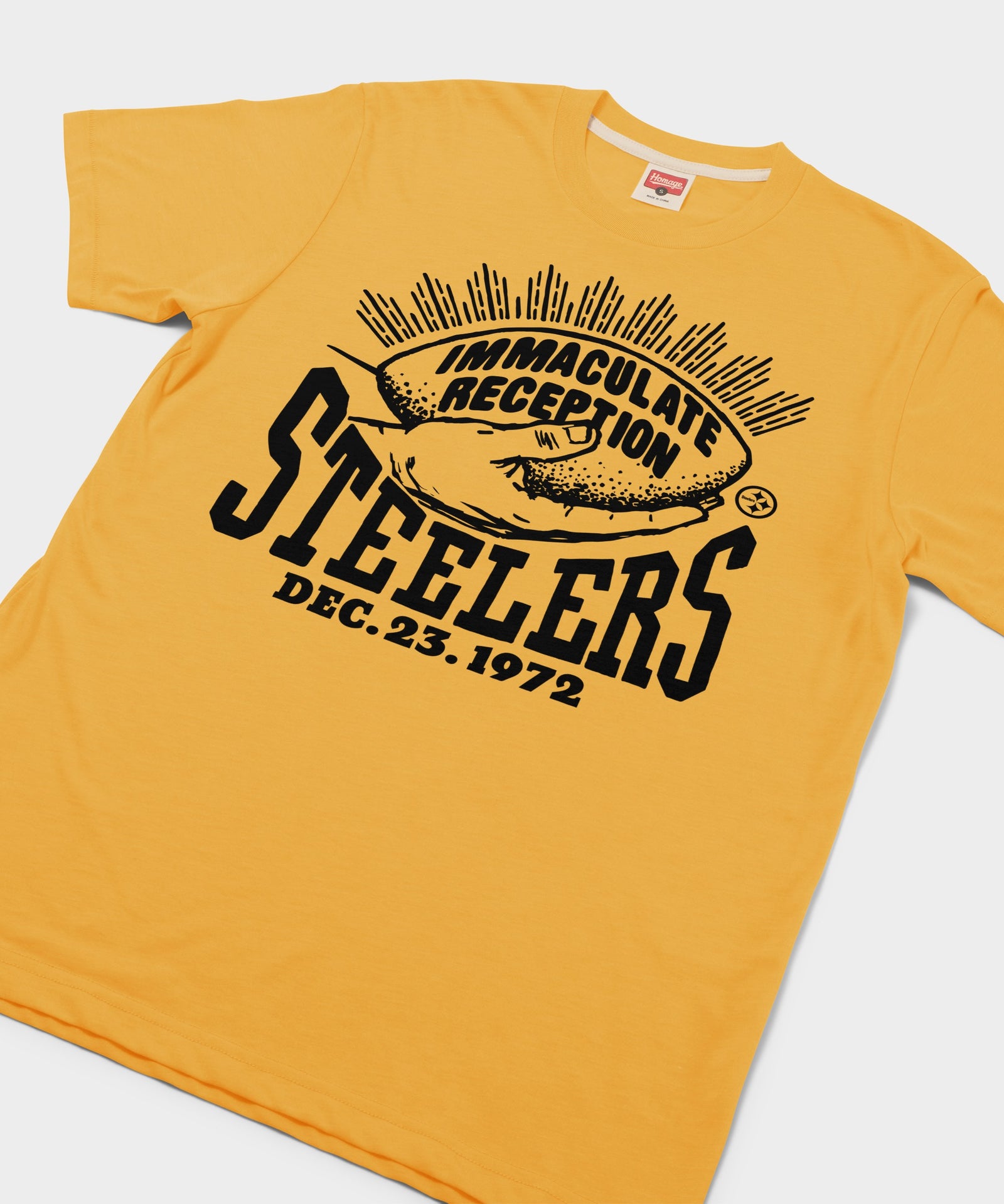 Pittsburgh Steelers Immaculate Reception