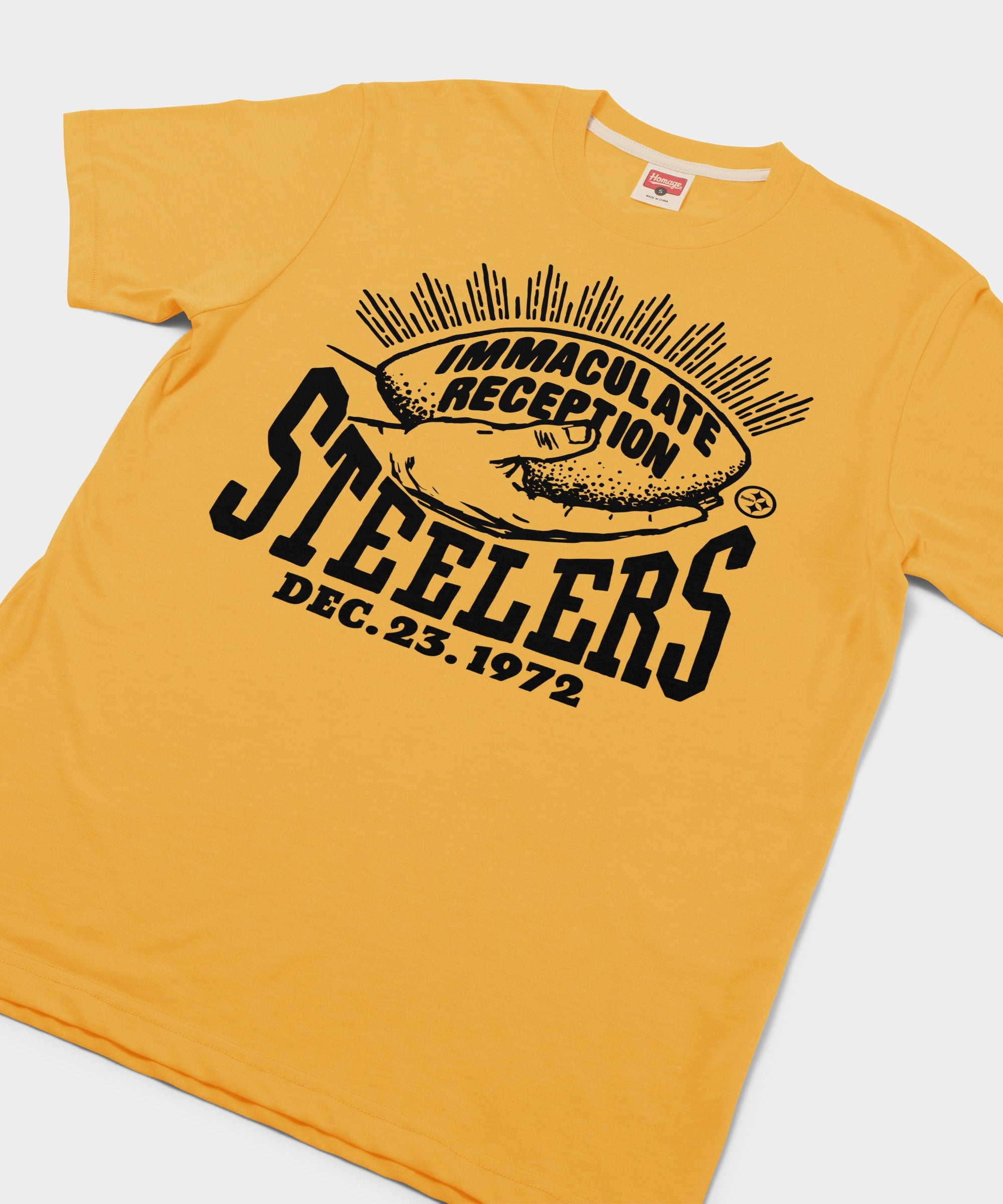 Pittsburgh Steelers Immaculate Reception