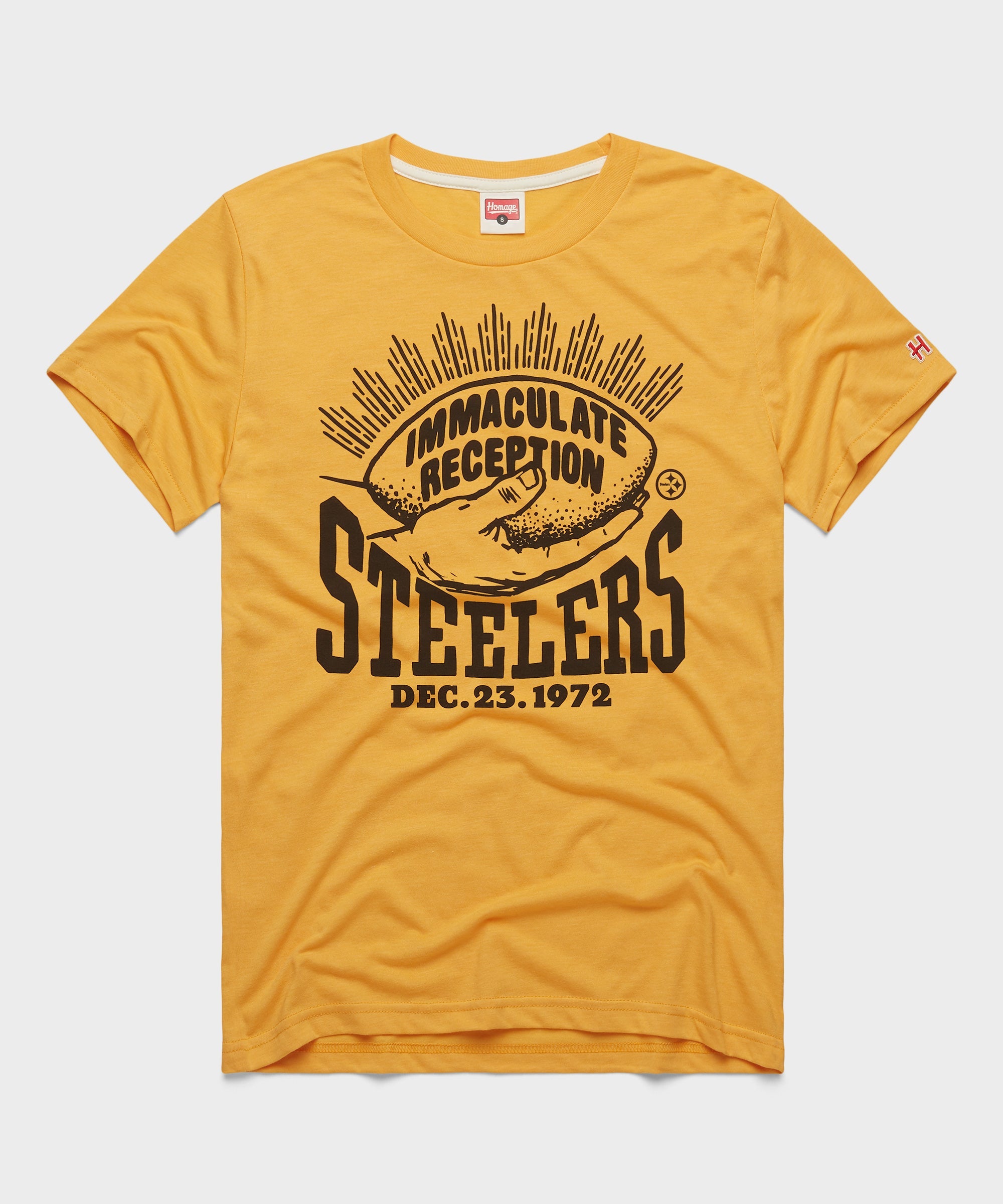 Pittsburgh Steelers Immaculate Reception