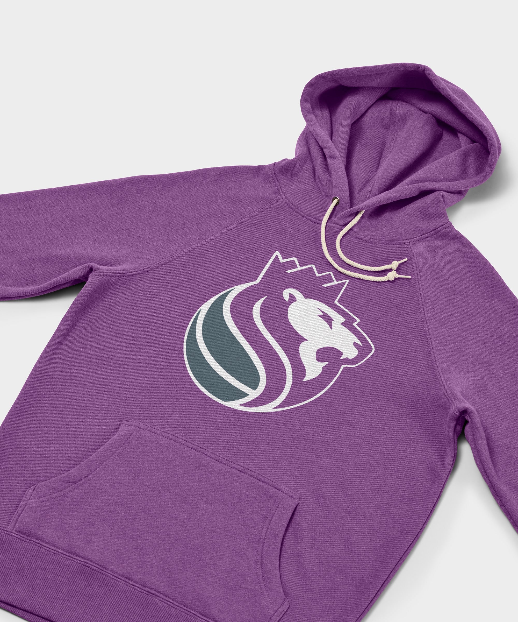 Sacramento Kings Logo Hoodie
