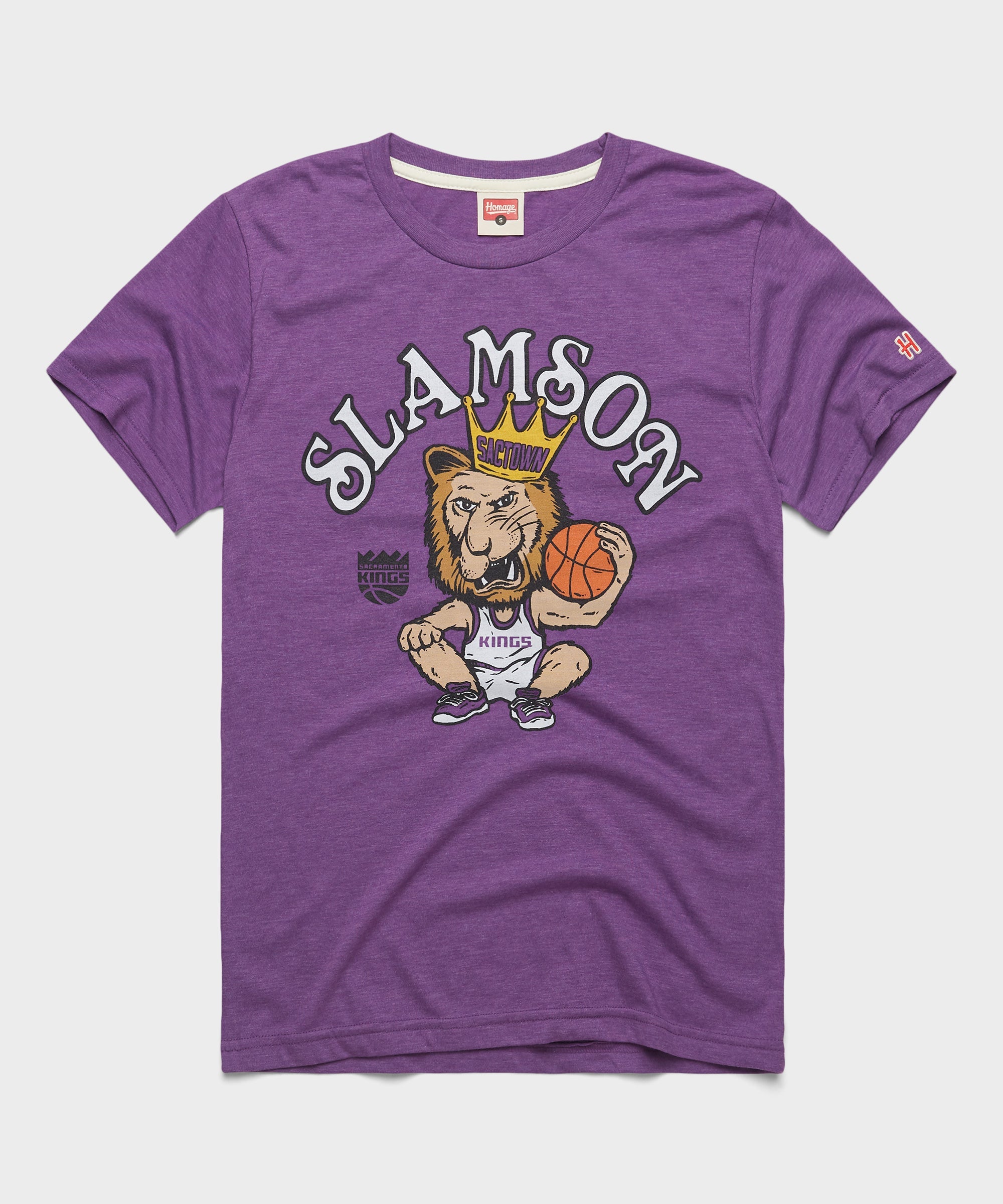 Sacramento Kings Slamson The Lion