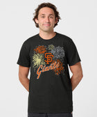 San Francisco Giants Fireworks