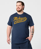 Script Michigan Wolverines