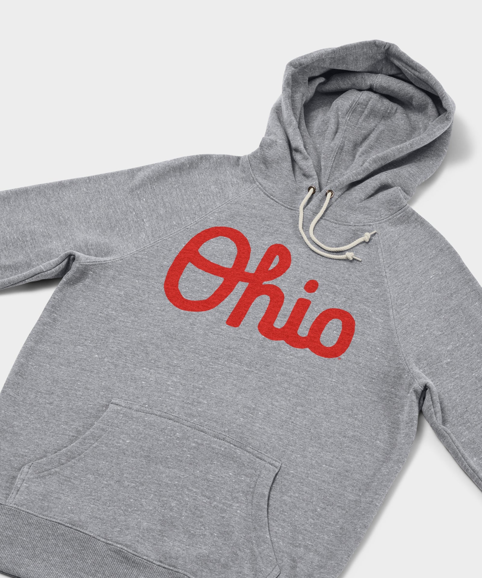 Script Ohio Hoodie