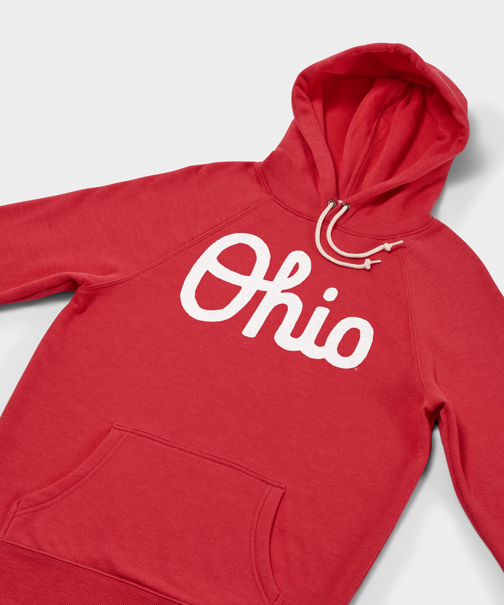 Script Ohio Hoodie