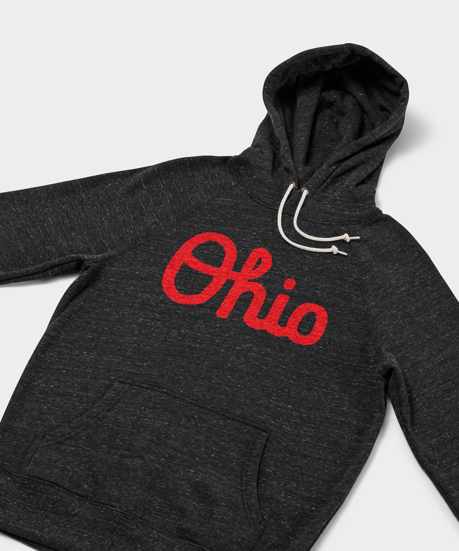Script Ohio Hoodie