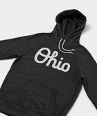 Script Ohio Hoodie