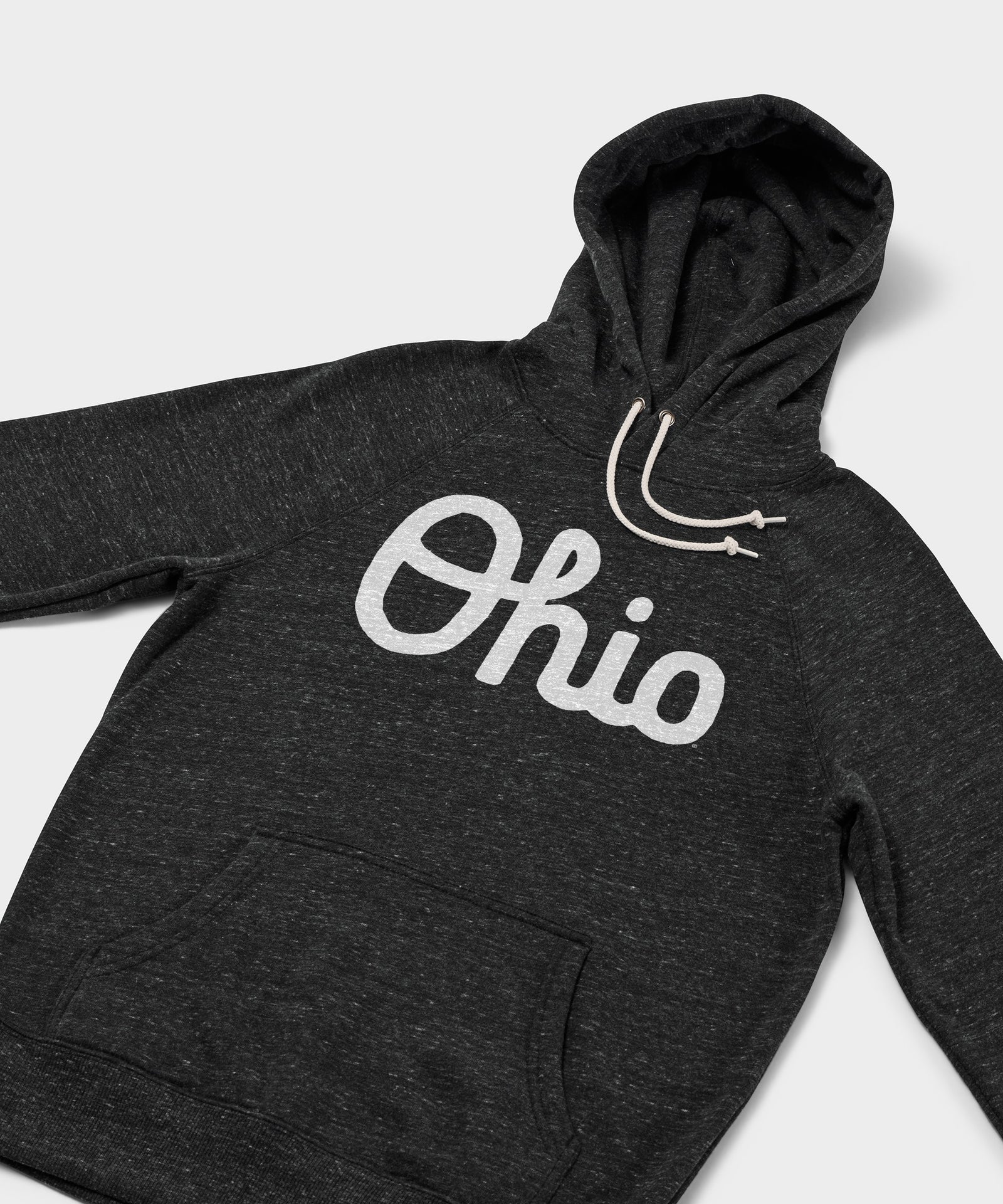 Script Ohio Hoodie