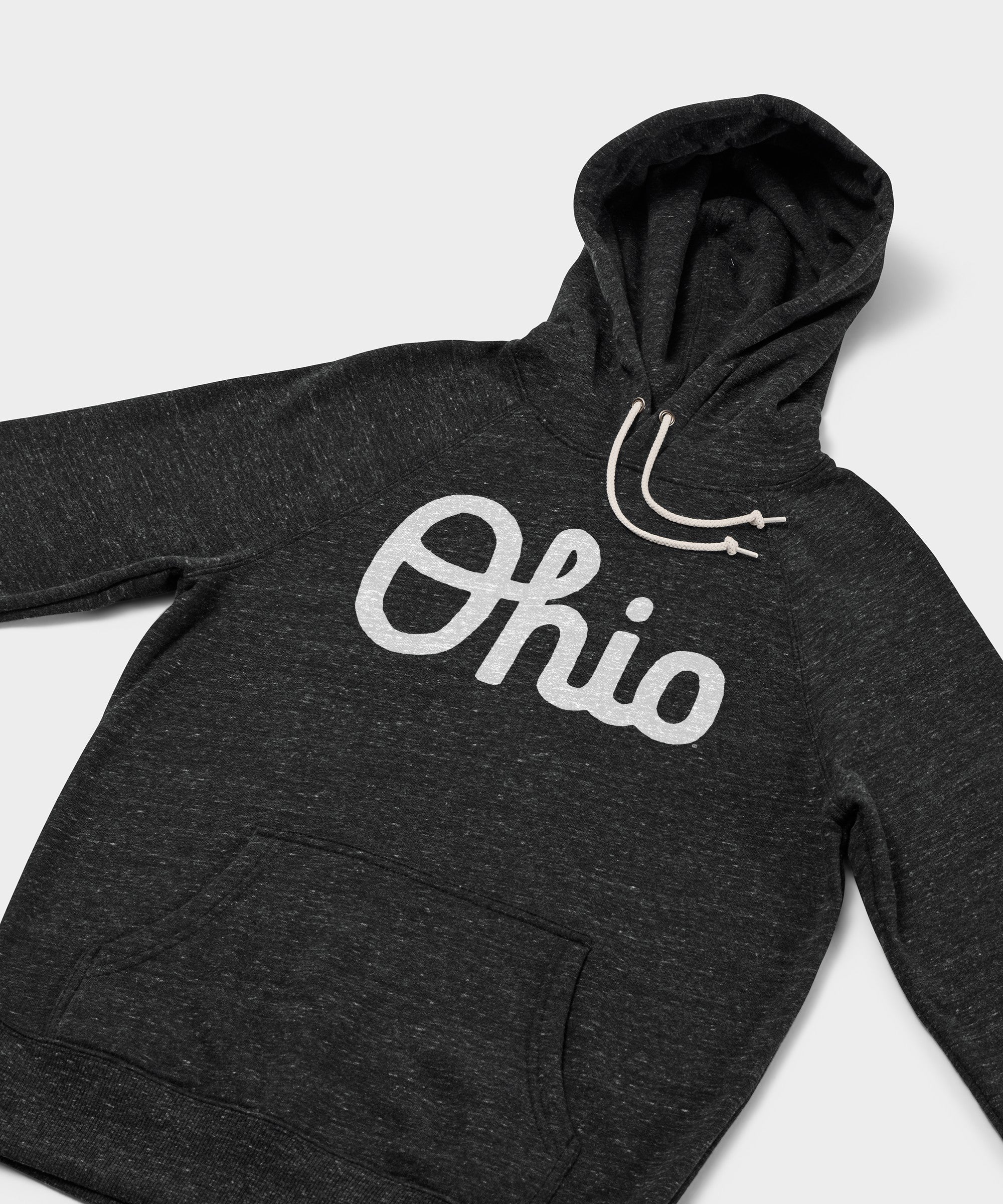 Script Ohio Hoodie