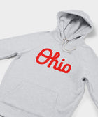 Script Ohio Hoodie