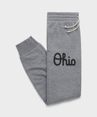 Script Ohio Jogger