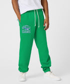 Seattle Seahawks Arch Sweatpants