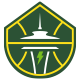  Seattle Storm Logo