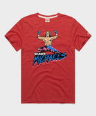 Shawn Michaels Victory