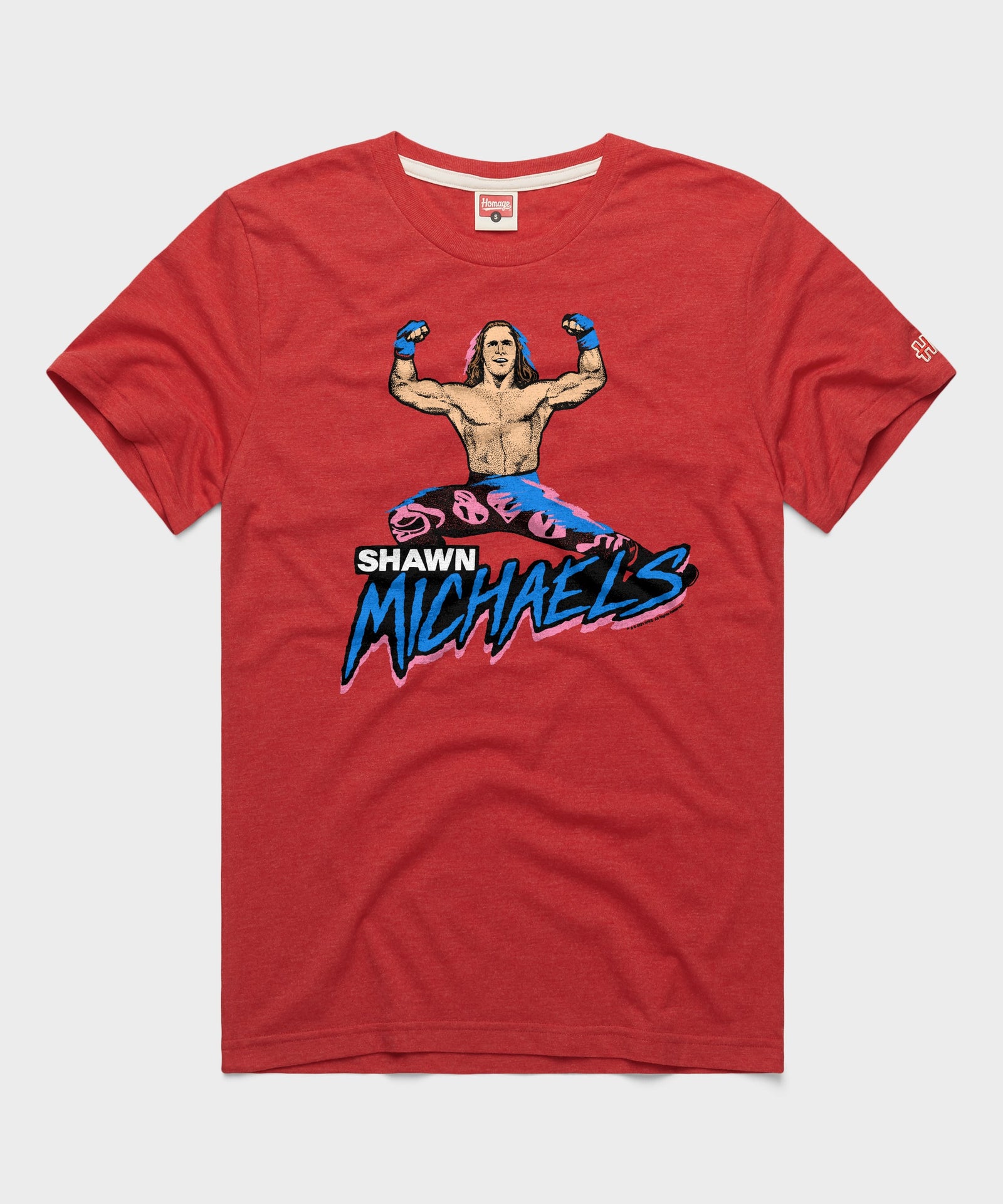 Shawn Michaels Victory