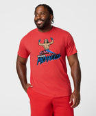 Shawn Michaels Victory