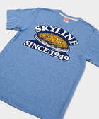 Skyline Since 1949