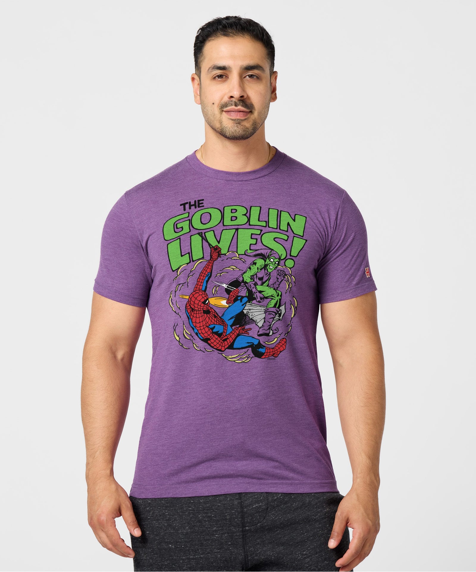 Spider Man The Goblin Lives