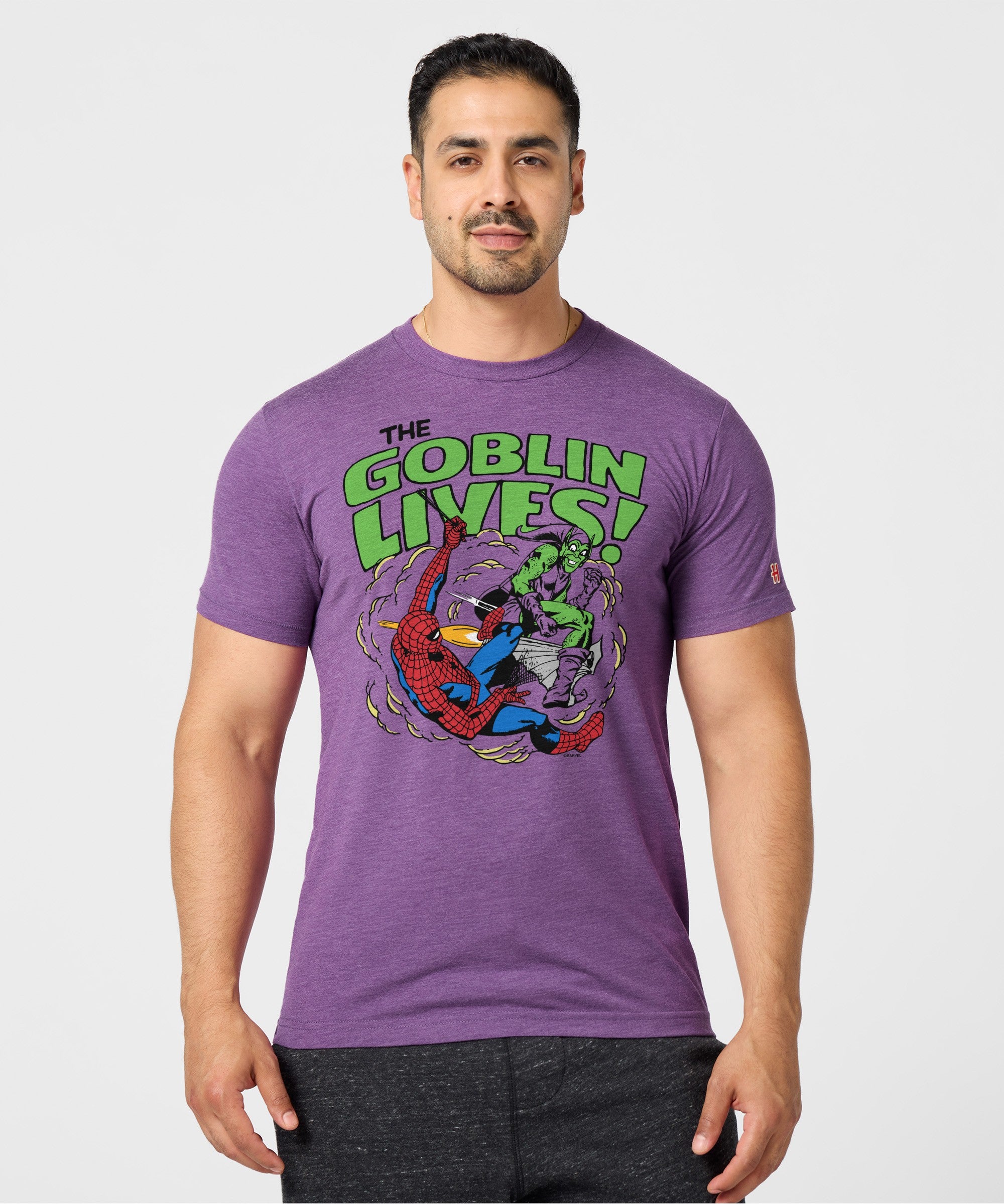 Spider Man The Goblin Lives