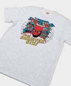 Spider Man The Sinister Six
