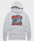 Star Wars X Denver Broncos Light Side Hoodie