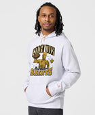 Star Wars X New Orleans Saints Light Side Hoodie