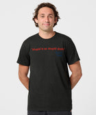 Stupid Is As Stupid Does