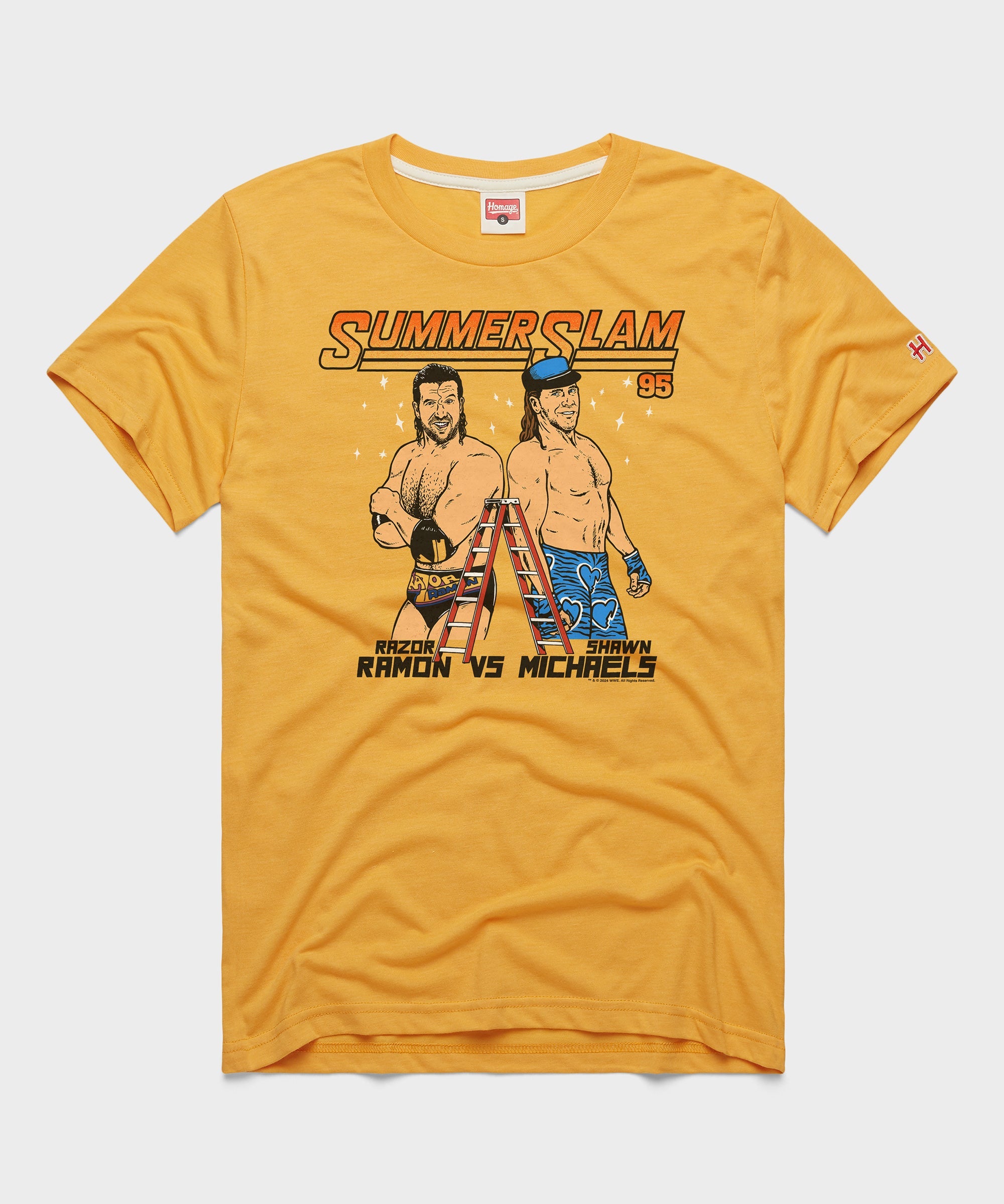 SummerSlam 1995 Ramon Vs Michaels