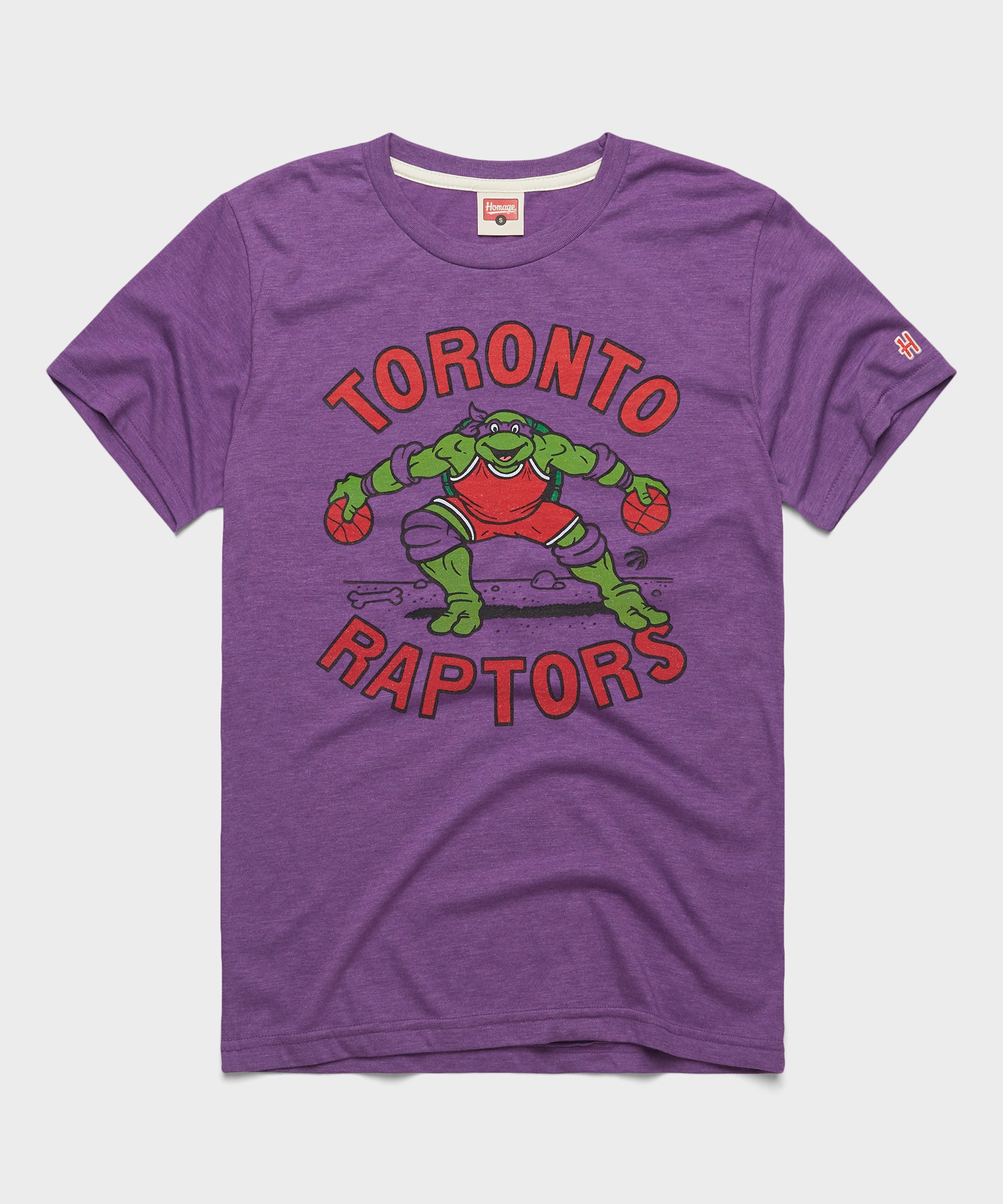 TMNT Donatello X Toronto Raptors