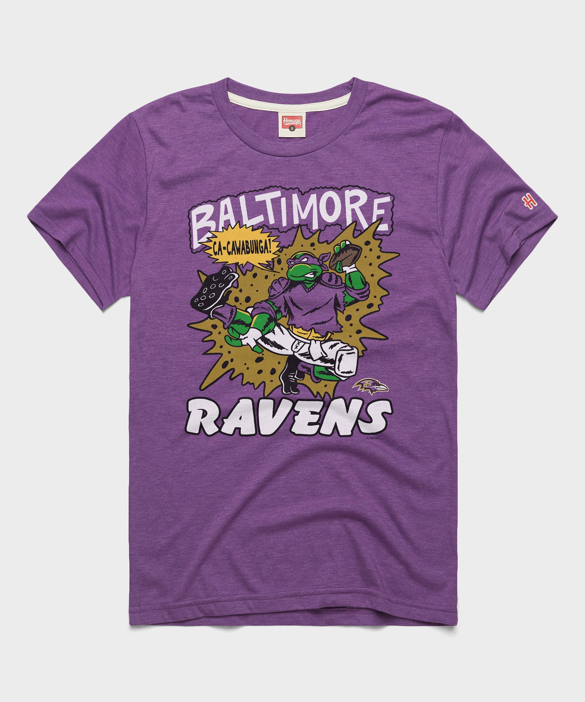 TMNT Donatello x Baltimore Ravens