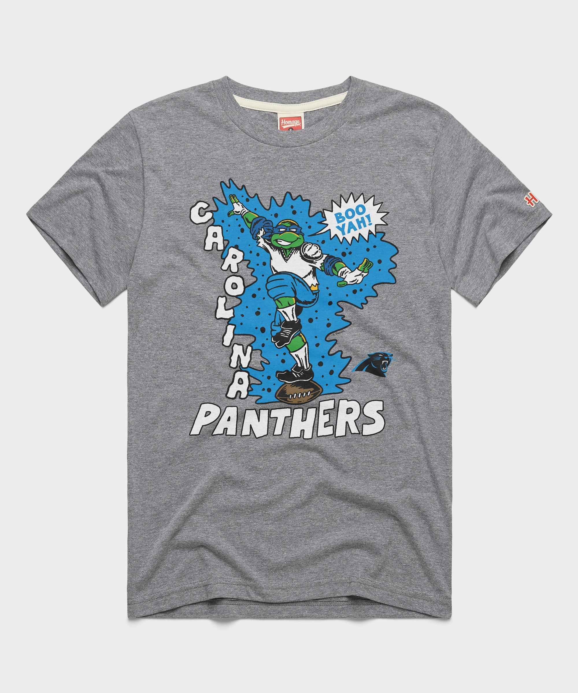 TMNT Leonardo x Carolina Panthers